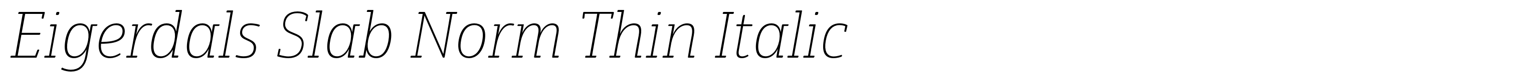 Eigerdals Slab Norm Thin Italic